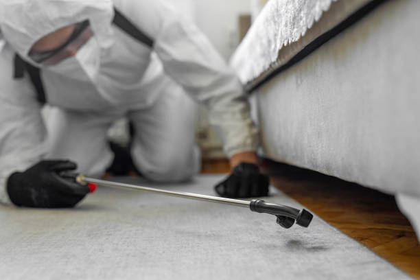 Professional Bed Bug Control technician working in Boerne, TX