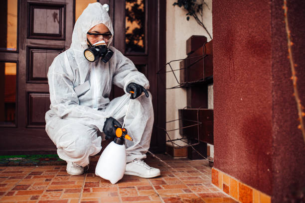 Reliable Bed Bug Control contractor in Boerne, TX by Nex Pest Control