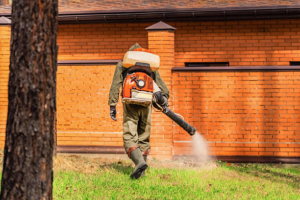 Trusted Mosquito Control service in Boerne, TX - Nex Pest Control